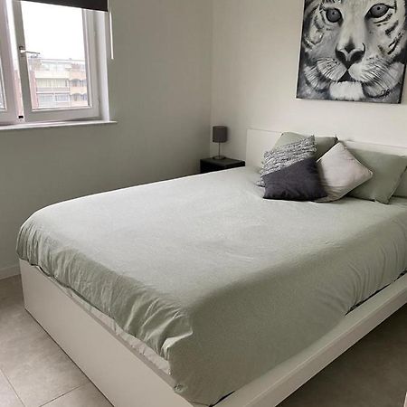 Gezellig 1 Slaapkamer Appartement Nabij Het Stadscentrum 哈瑟尔特 外观 照片