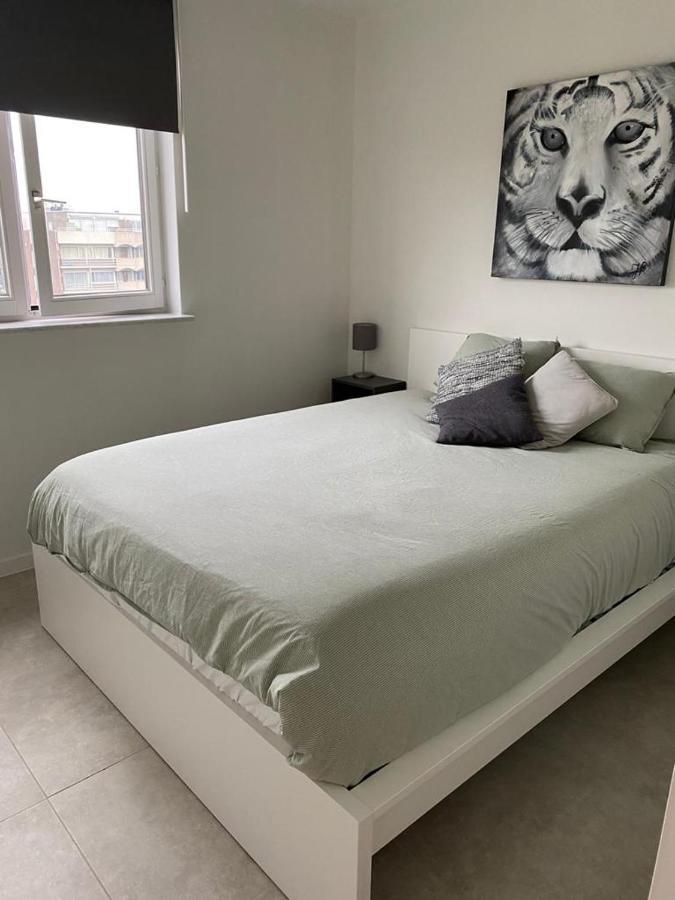 Gezellig 1 Slaapkamer Appartement Nabij Het Stadscentrum 哈瑟尔特 外观 照片